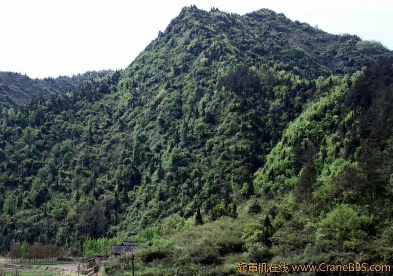 调整大小 IMG_4496.JPG