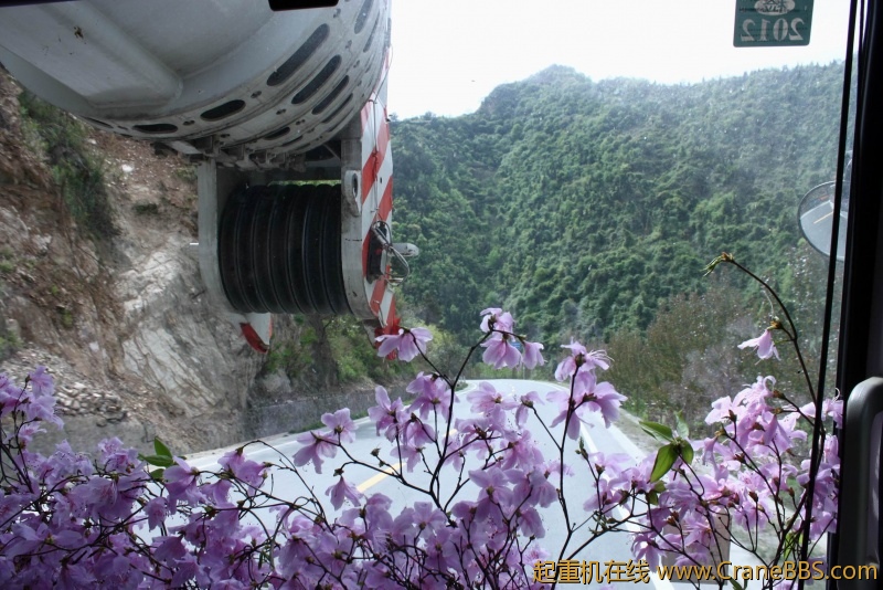 调整大小 IMG_4513.JPG