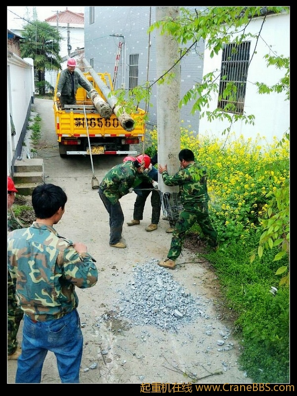nEO_IMG_lvminghua4568hl110maomao72872.jpg