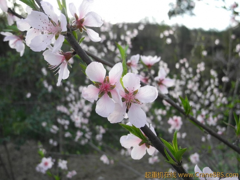 DSCN0372.JPG