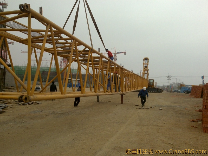 20120419168.jpg