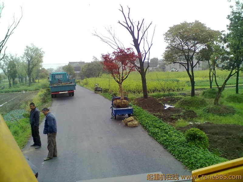 20120413038.jpg