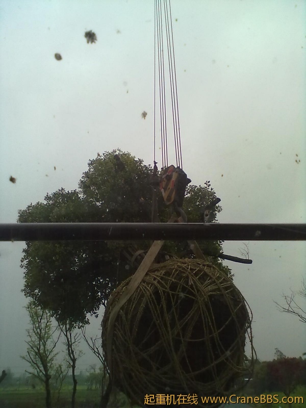 20120413039.jpg