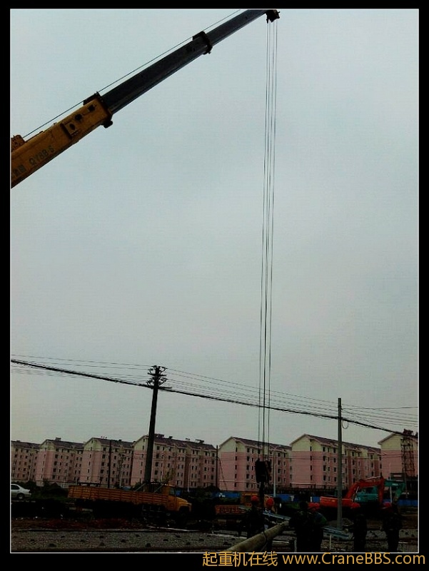 nEO_IMG_lvminghua4568hl110maomao74732.jpg
