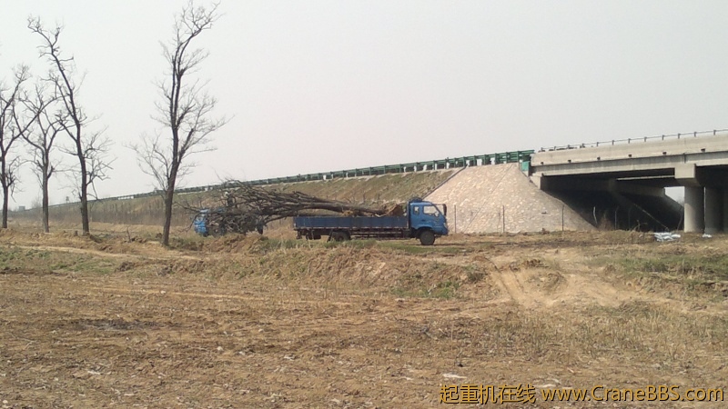 20120417164.jpg