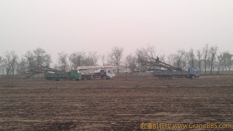 20120415158.jpg