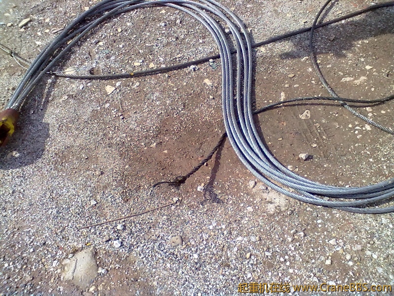 20120421405.jpg