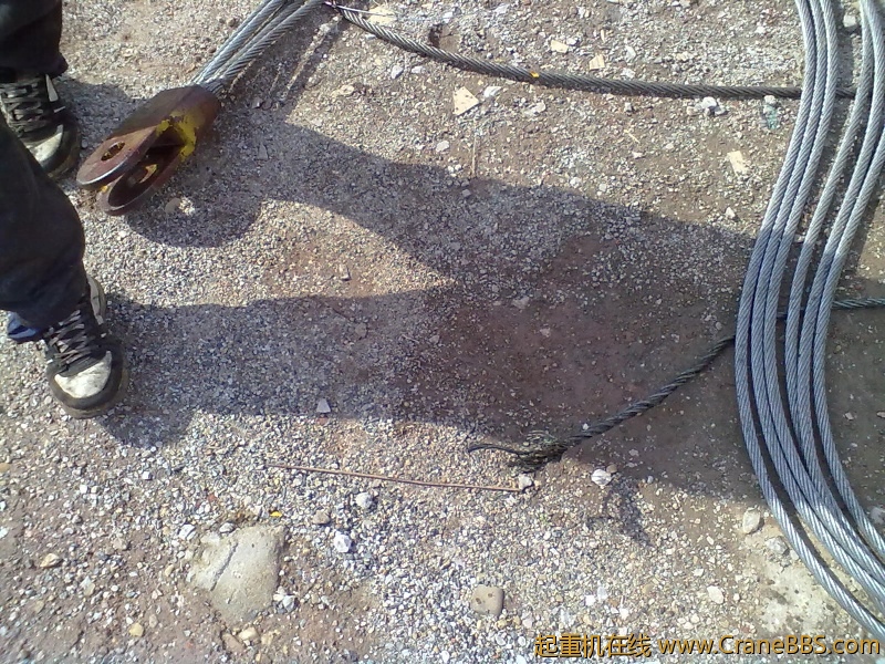 20120421406.jpg