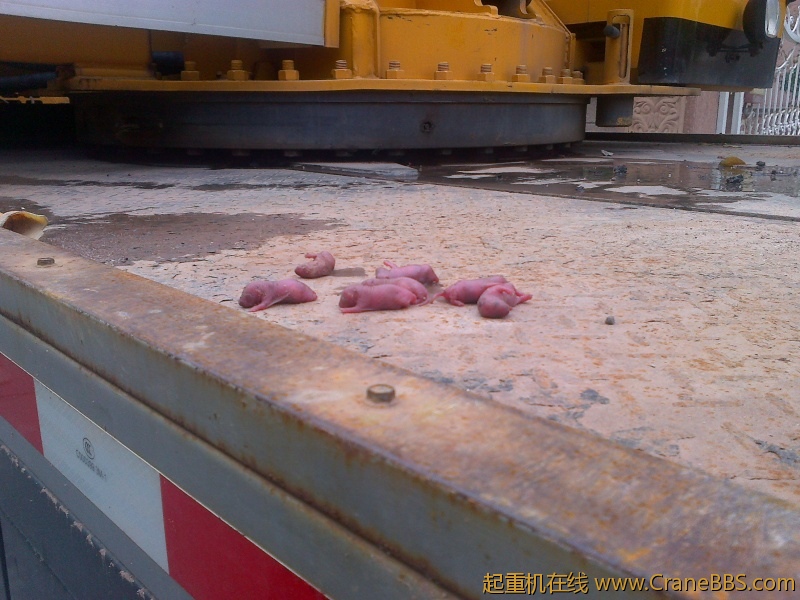 20120426270.jpg
