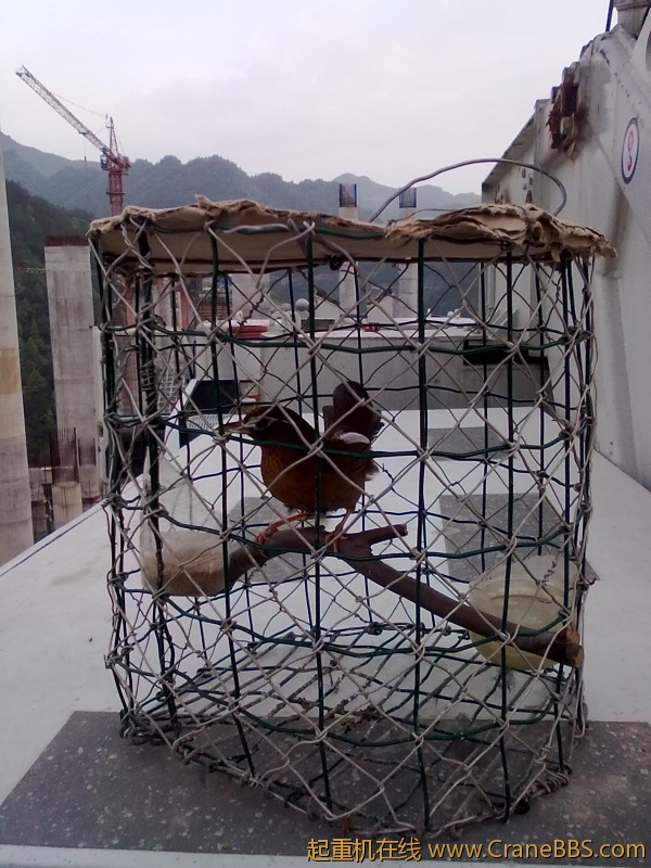 20120427647.jpg
