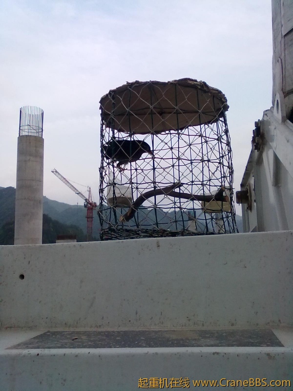 20120427649.jpg