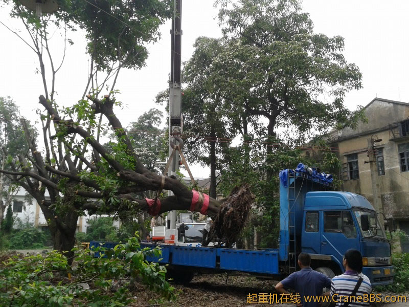 2012-04-27 11.01.11.jpg