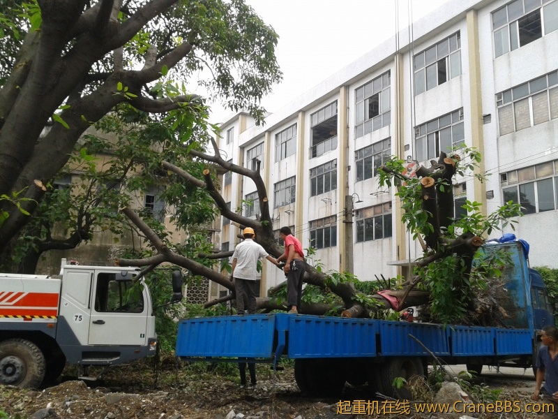 2012-04-27 11.08.06.jpg