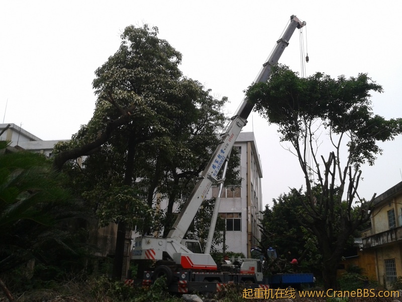 2012-04-27 11.09.54.jpg