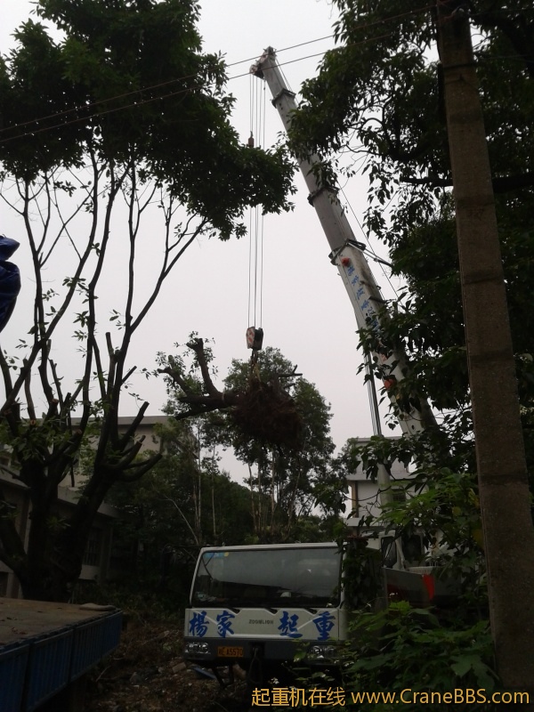 2012-04-27 10.57.39.jpg