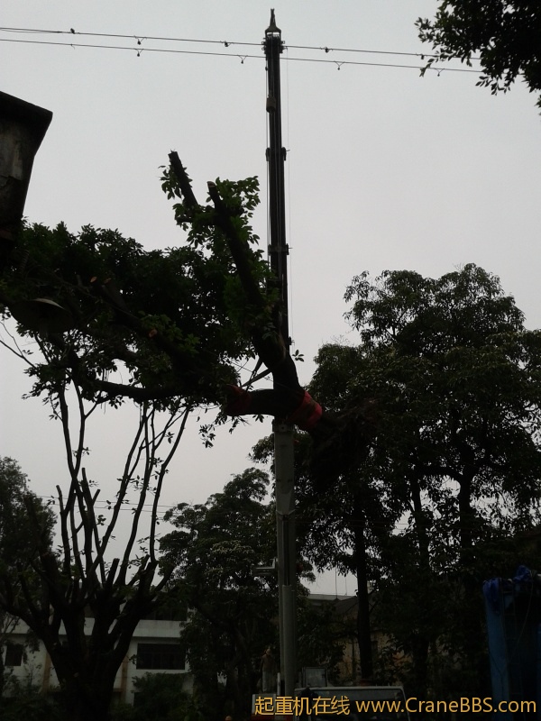 2012-04-27 11.00.17.jpg