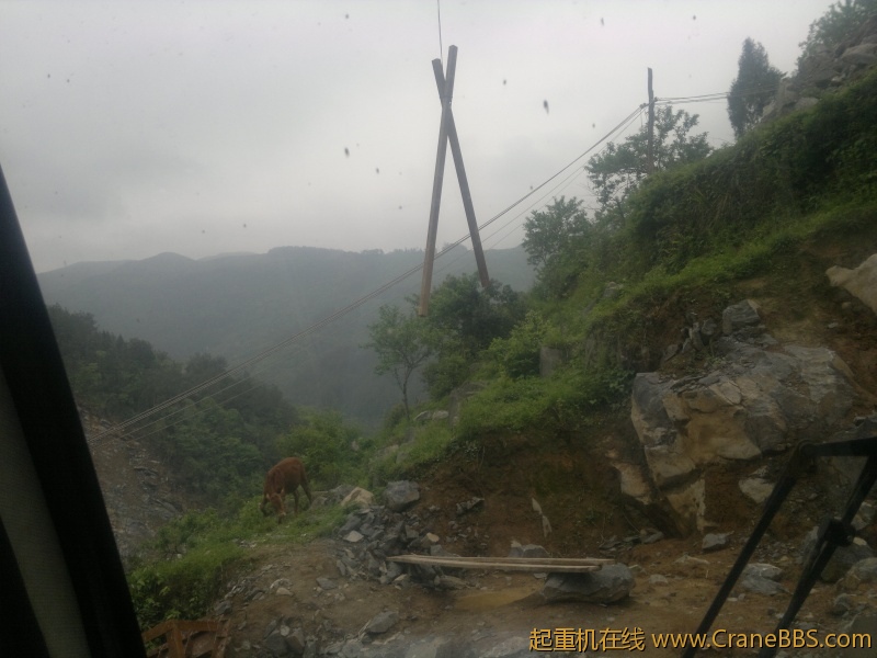 20120429860.jpg