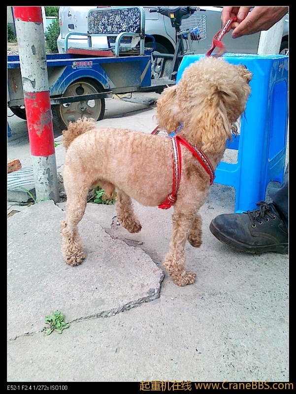 nEO_IMG_201204245408.jpg