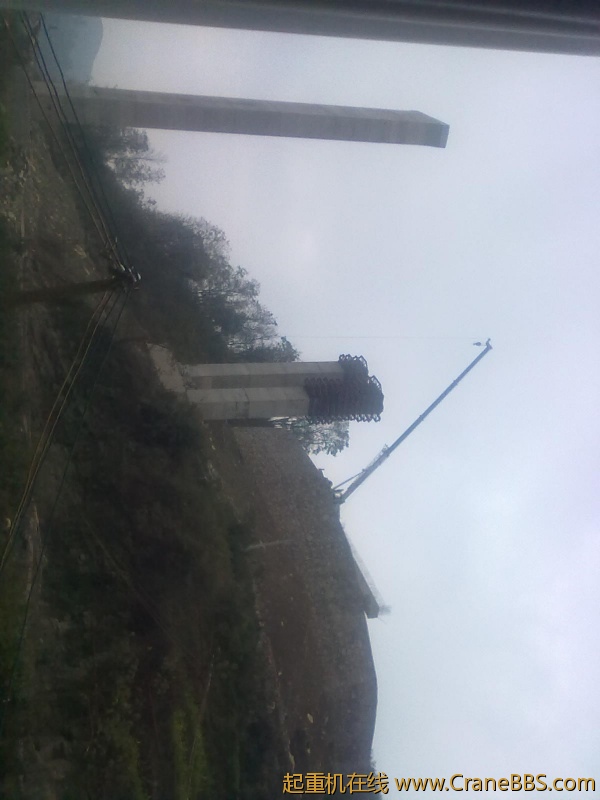 20111206566.jpg