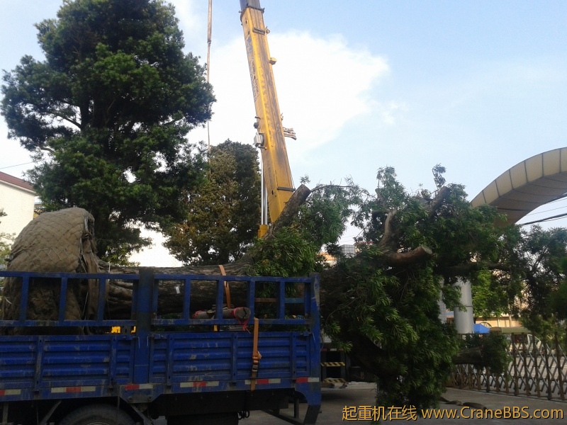 2012-04-30 17.17.44.jpg