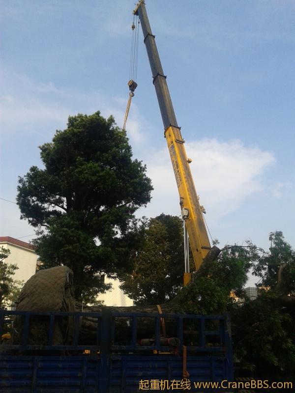 2012-04-30 17.17.49.jpg