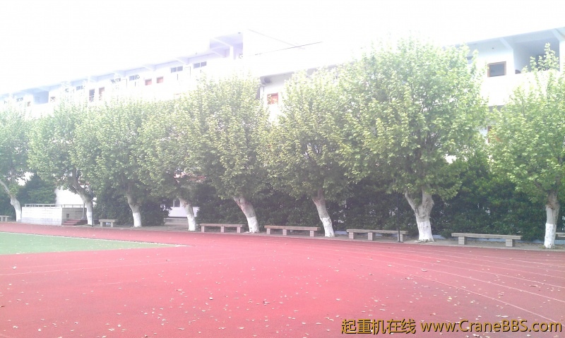 IMAG0110.jpg