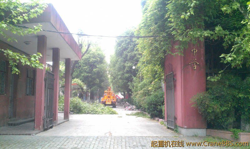 IMAG0113.jpg