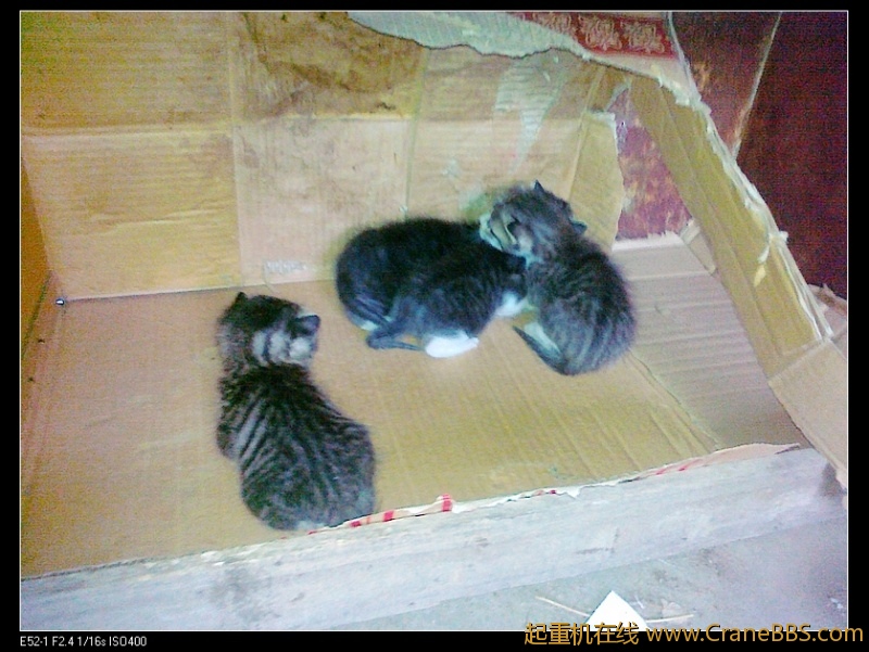 nEO_IMG_201204295521.jpg