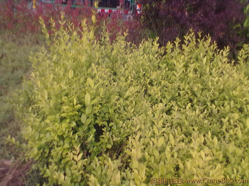 20120502016.jpg