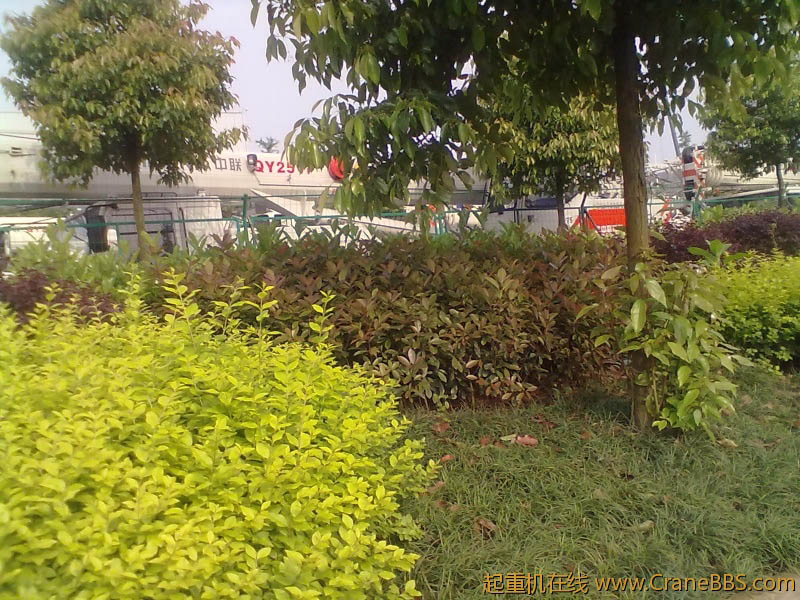 20120502023.jpg