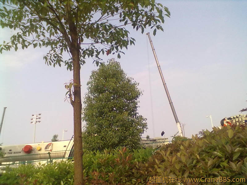 20120502043.jpg