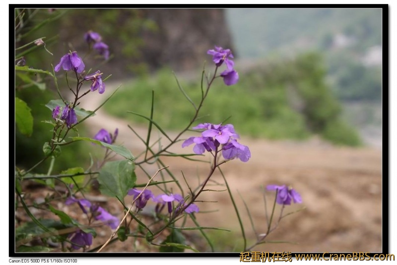 调整大小 IMG_5015.JPG