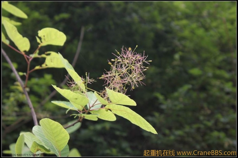 调整大小 IMG_5050.JPG