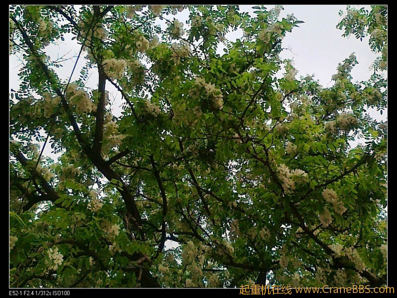 nEO_IMG_201204255443.jpg