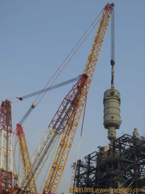 S73F3564_conew1.JPG