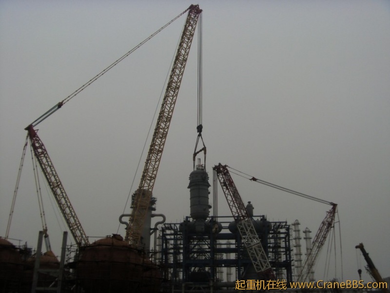 S73F3571_conew1.JPG
