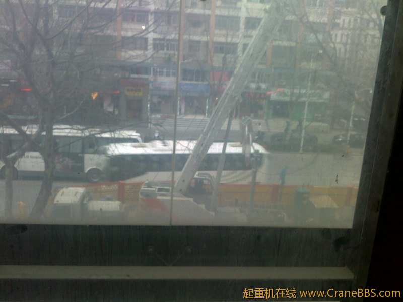 20120312513.jpg