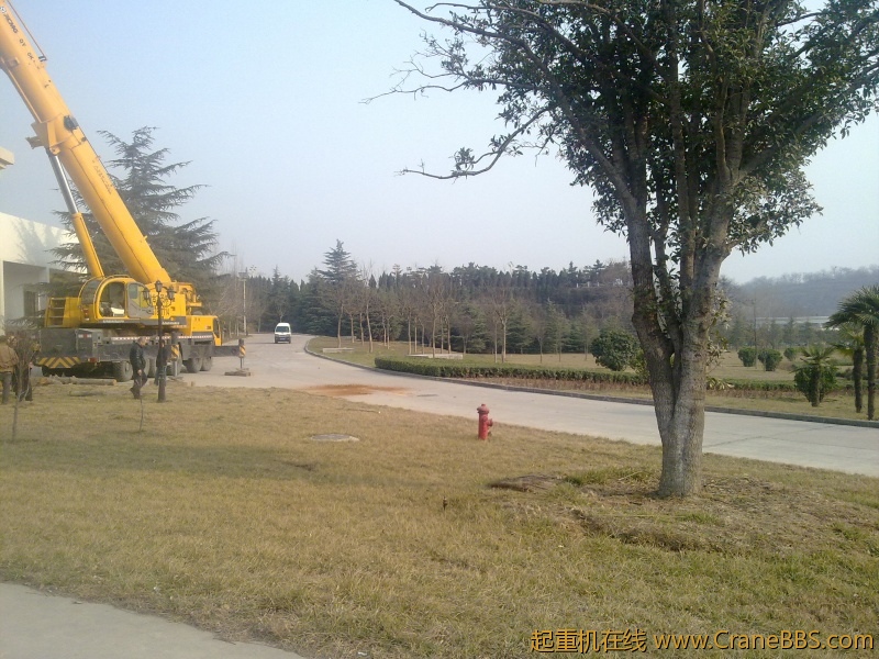 20120313164.jpg