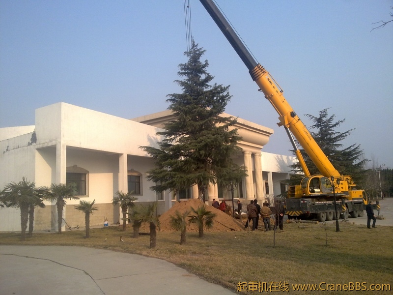 20120313165.jpg