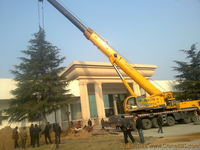 20120313159.jpg