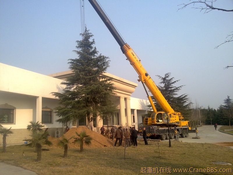 20120313160.jpg