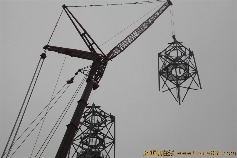 conew_img_2538.jpg