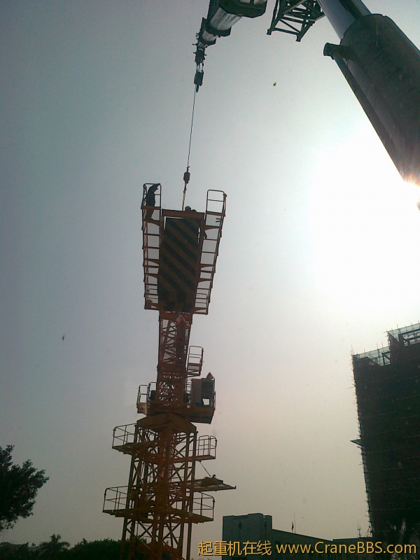 20120317653M.jpg