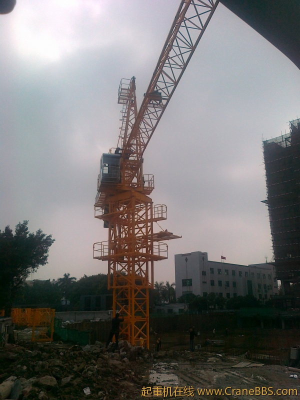 20120317651J.jpg