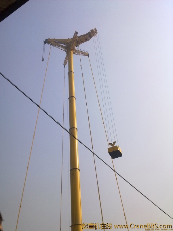 20101014049.jpg