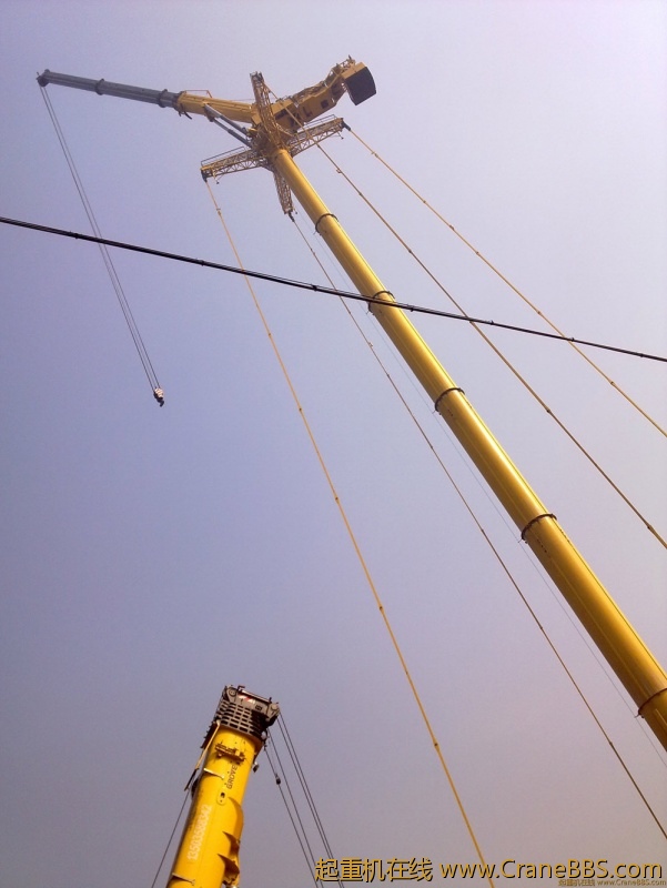 20101014050.jpg