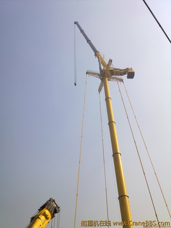 20101014052.jpg