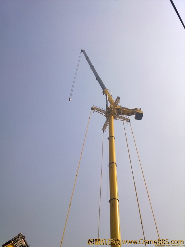 20101014054.jpg