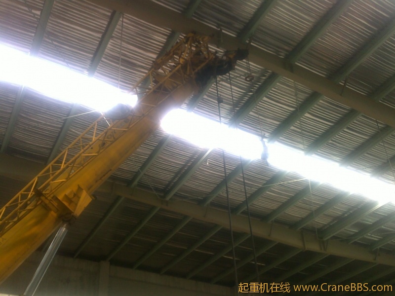 20120321590.jpg