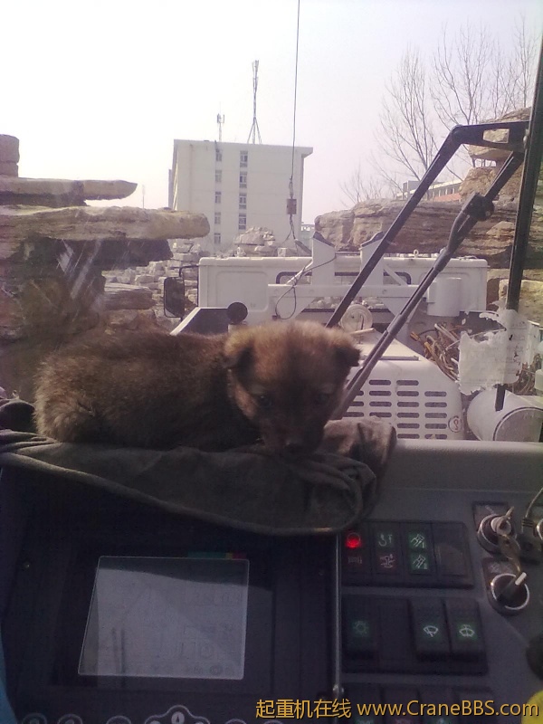 20120318822.jpg